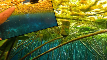 Antalyada korkunç manzara Son zamanlarda giderek artıyor dedi ve uyardı