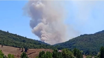 Bursa’nın Yenişehir ilçesinde orman yangını