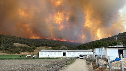 Üç ilde orman yangını Alevlerle mücadele havadan ve karadan devam ediyor... Yenişehir-Bursa yolu çift yönlü olarak trafiğe kapatıldı