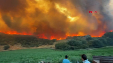 Bursa’da rüzgarın da etkisiyle yayılan yangında yol trafiğe kapatıldı