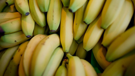 Süpermarkette zehirli örümcek paniği