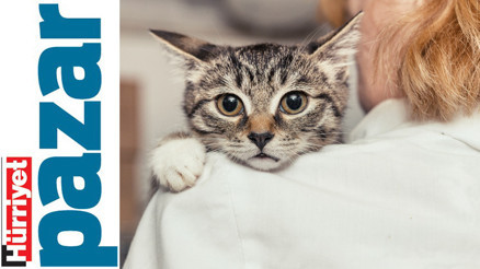 ‘Defnedecek yer aramak ıstırap’