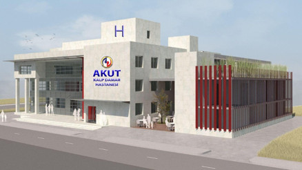 Yapay zeka destekli sanal anjiyo