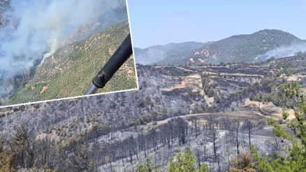 Ot temizlemek isterken ormanı yakmışlar 3 kişi gözaltına alındı