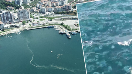 Marmara Denizi’nin yüzeyini kaplayan tehlike: Vatandaşın cebini yakacak | Sıkıntılı günler bizi bekliyor Marmara Denizi’nin yüzeyini kaplayan tehlike: Vatandaşın cebini yakacak | Sıkıntılı günler bizi bekliyor