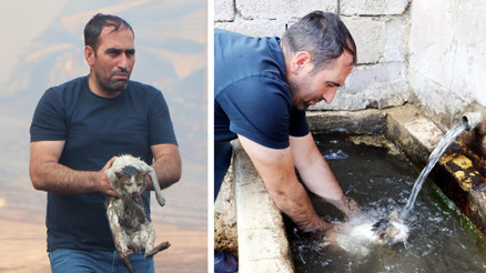 Erzurumda alevlerin arasına girip mahsur kalan kediyi kurtardı Dumanların arasında çaresizce beklediğini gördüm