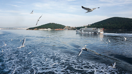 Adalar: Eski İstanbul’un güzel yazlığı Adalar: Eski İstanbul’un güzel yazlığı