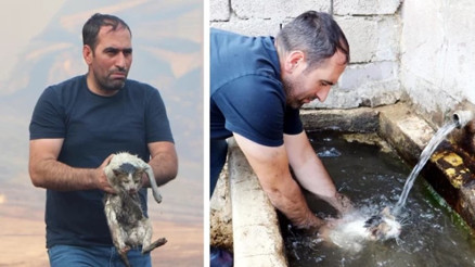 Alevlerin arasına girip kediyi kurtardı