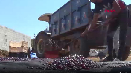 Gaziantep’te, Antep karası’ üzümünde kurutma zamanı