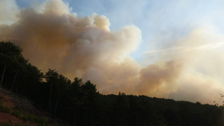 Karabükte çıkan orman yangınına müdahale ediliyor: 3 mahalle tahliye edildi