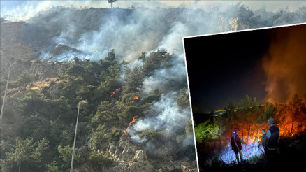 Düzce, Bursa ve Burdurda orman yangını Düzce, Bursa ve Burdurda orman yangını