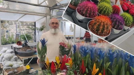 Almanya’dan Rize’ye döndü, hayatı bir kaktüsle değişti