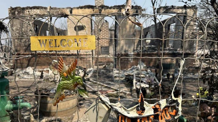 ABDde 13 bin dönüm kül oldu