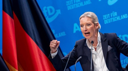 Almanyada yerel seçimler öncesi aşırı sağcı AfD şoku: 1 eyalette açık ara farkla önde