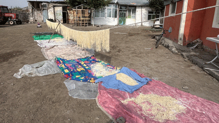 Karsta köylü kadınlar imece usulü erişte kesiyor