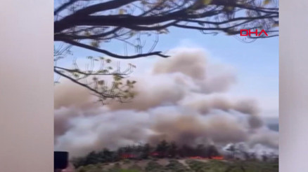 Bursanın Osmangazi ilçesinde orman yangını