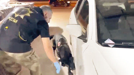 Zehir taciri baba-oğul yakalandı