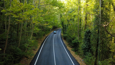 Safranbolu’nun doğa harikası: 5 kilometrelik ağaç tüneli