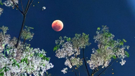 Dünyanın farklı bölgelerinde Kanlı Ay şöleni