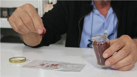 Kilosu 250 bin liradan satılan safranın mısır püskülünden sahtesini yaptılar