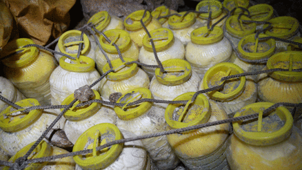 Adıyamanlı köylüler kışlık yiyeceklerini geleneksel yöntemle mağarada saklıyor