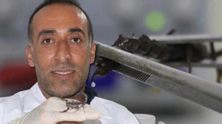 İnşaatçılıktan akrep zehri üretimine geçti, gramından on binlerce dolar kazanacak