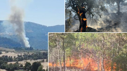Denizli ve Aydında alevlerle mücadele