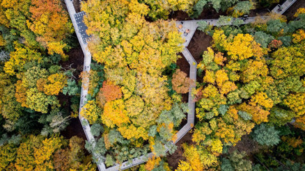 Alman orman günleri: İklim Ormanı Patikası rehberli turu