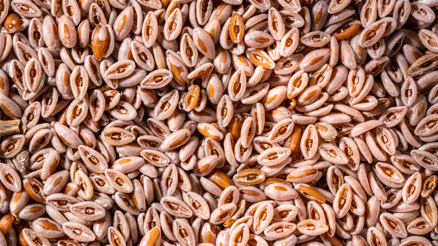 Bağırsak sağlığı takviyeleri saymakla bitmiyor... Sihirli çözüm hangisi