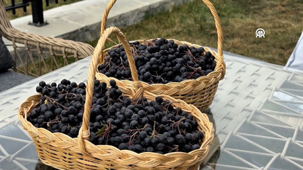 Uzun yıllar süren mide rahatsızlığına iyi gelen aronyanın üreticisi oldu