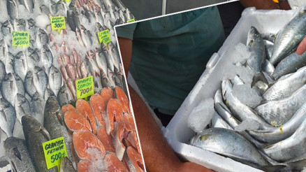 Bolluk yaşanıyor Ege Denizinde görmezdik dedi ve duyurdu: Türkiyenin yükünü çekiyor