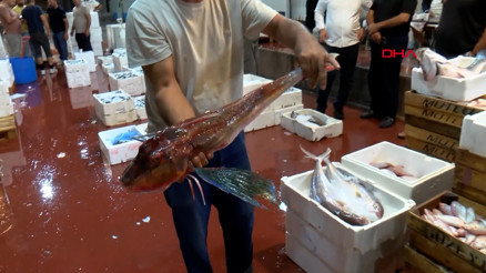 Akdenizde av yasağı kalktı; 1 kilo fiyatına 1 kasa balık