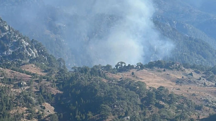 Köyceğizde orman yangını: Karadan ve havadan müdahale başladı