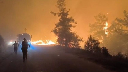 Antalya ve Muğlada orman yangını... Müdahale sürüyor, yerleşim yerleri tahliye edildi