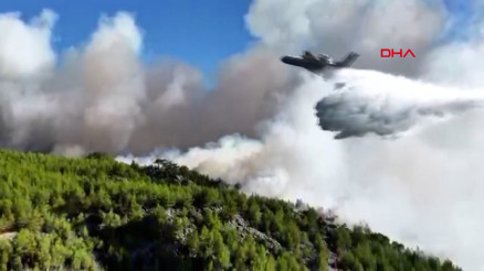 Muğla Köyceğizdeki orman yangınında 2nci gün