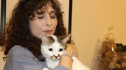 ‘Paşa isimli kediye antidepresanlı tedavi