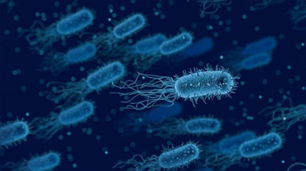 Koli basili tarih mi oluyor Yapay zekanın çığır açan buluşu