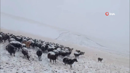 Ağrı’da yüksek kesimlere mevsimin ilk karı düştü Ağrı’da yüksek kesimlere mevsimin ilk karı düştü