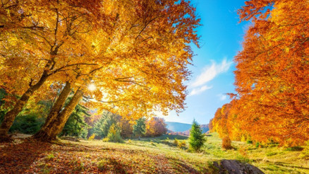 23 Eylül ekinoksu nedir, ne demek | Gece-gündüz eşitliği ne zaman, bu gece mi Geceler ne zaman uzamaya başlar İşte sonbahar ekinoksu özellikleri ve etkileri