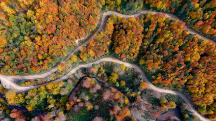 Sonbaharın kalbine yolculuk: Ekim ayında gidilmesi gereken 6 doğa rotası Sonbaharın kalbine yolculuk: Ekim ayında gidilmesi gereken 6 doğa rotası