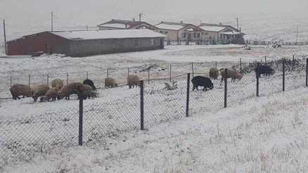 6 ilde kar sürprizi Kış erken geldi: Eylül ayında yerler beyaza büründü