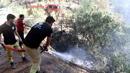 3 ildeki orman yangını kontrol altına alındı