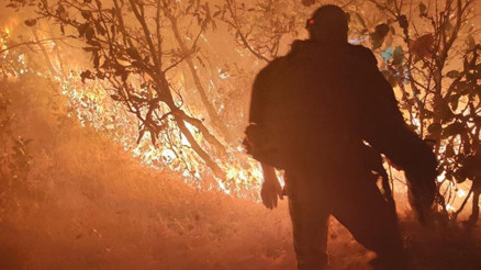 Diyarbakırda orman yangını: Havadan ve karadan müdahale sürüyor