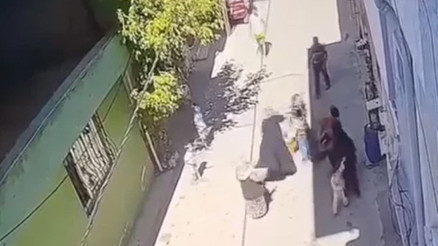 Kucağında çocuğuyla yürüyen kadına saldırdılar