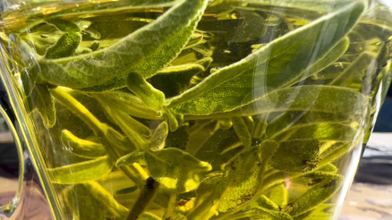 Hamileyken sakın içmeyin Anneye ve bebeğe zarar verebilir