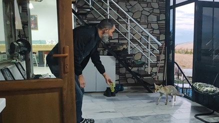 Henüz yavruyken evlerinin bahçesinde buldular, şimdi ailenin bir üyesi oldu