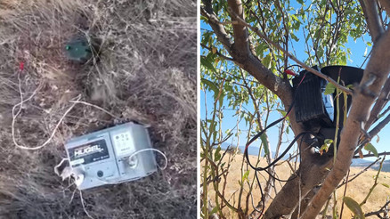 Kurdukları özel düzenekle avlıyorlardı: Fotokapanla yakalandılar