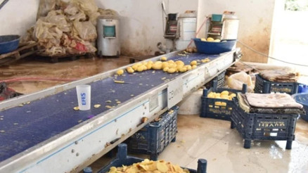 Otel ve restoranlarda müşterilere yedireceklerdi: Hepsi imha edildi