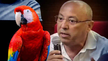 Papağan kararına tepki gösterdiler: 6 milyon avroya kadar zararımız var Papağan kararına tepki gösterdiler: 6 milyon avroya kadar zararımız var