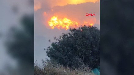 Bursada orman yangını